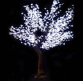 LED TREES – LED TREES entertainment hire, South Africa