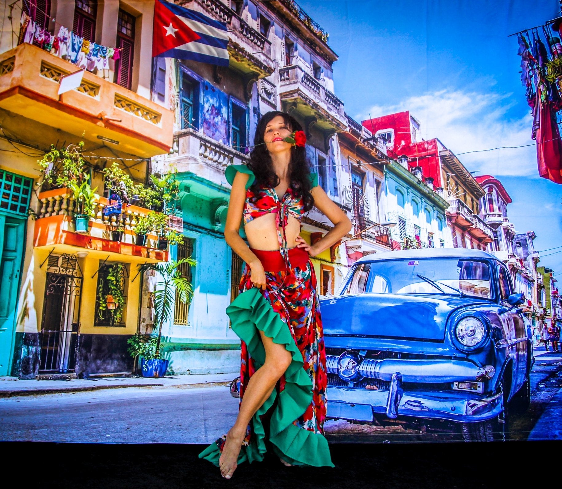 Printed Backdrops