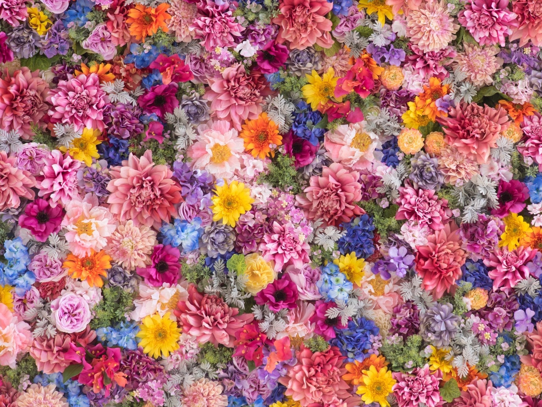 Printed Backdrops