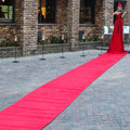CARPET MUSICIANS – CARPET MUSICIANS entertainment hire, South Africa
