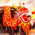 CHINESE DRAGONS – CHINESE DRAGONS entertainment hire, South Africa