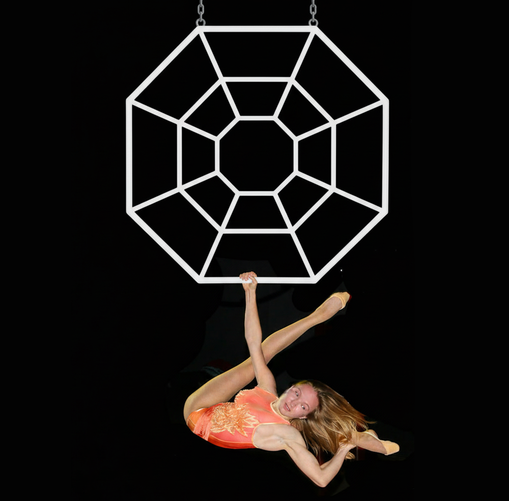 AERIAL SPIDER WEB