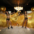 ISIS WING DANCERS – ISIS WING DANCERS entertainment hire, South Africa