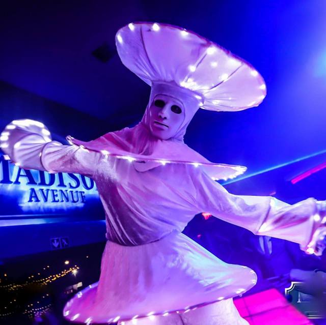 LED CREATURES – LED CREATURES entertainment hire, South Africa