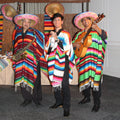 MARIACHI BANDS – MARIACHI BANDS entertainment hire, South Africa