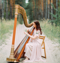 HARPISTS – HARPISTS entertainment hire, South Africa