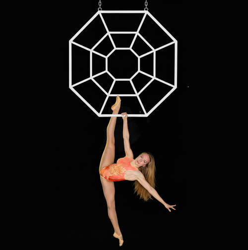 AERIAL SPIDER WEB