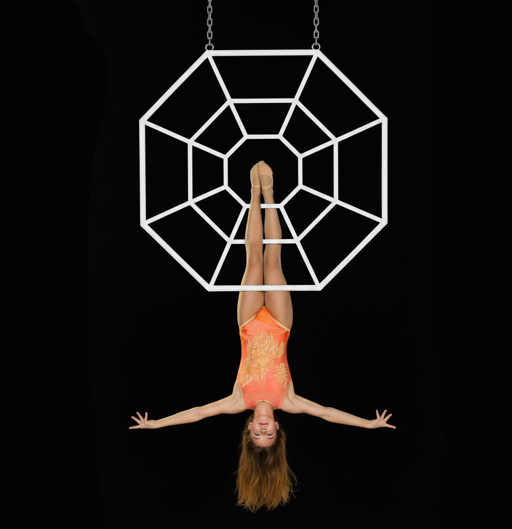 AERIAL SPIDER WEB